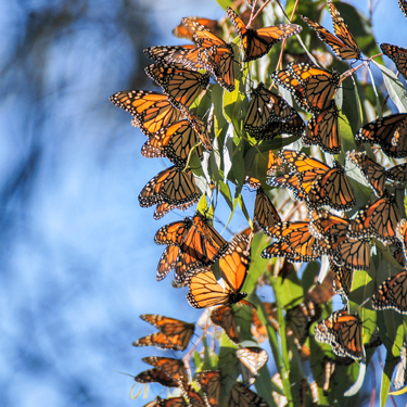 Playgrounds of the world